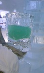100227_1652~01.jpg