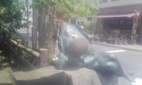 DVC00004.jpg